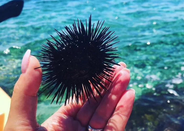 Center Private By Fragranza Di Sicilia Appartement